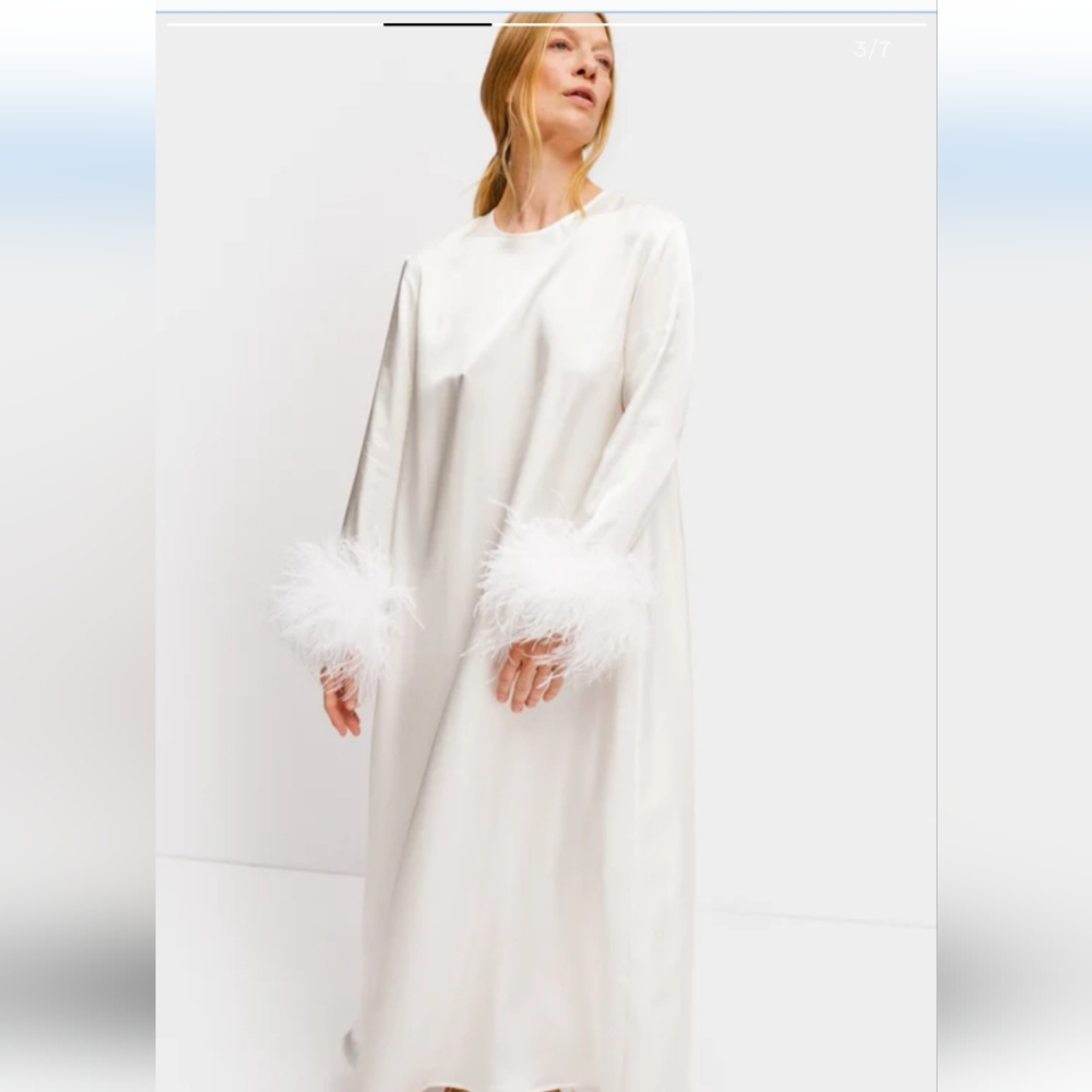 Sleeper Suzi  Dress With Detachable Feathers - Picture 10 of 12